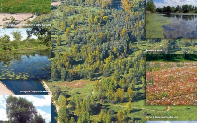 À la découverte de la biodiversité 